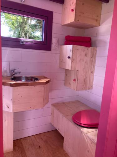 a small bathroom with a sink and a toilet at La Tiny de Papa un logement Eco-responsable in Saint-Pierre-le-Chastel