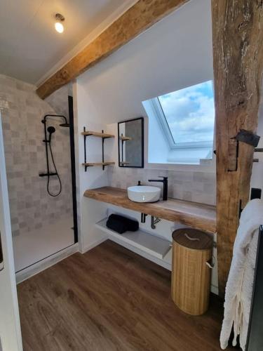 une salle de bain avec un lavabo et une douche avec une fenêtre dans l'établissement Le Clos du Hayer, à Bercenay-le-Hayer