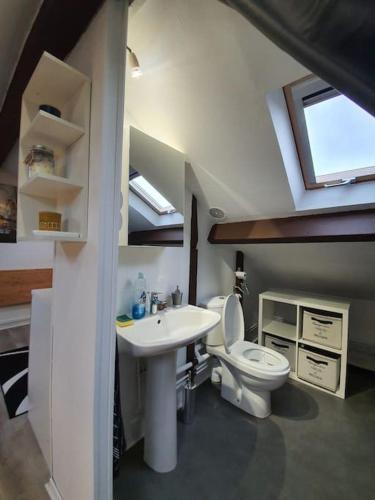 La salle de bains est pourvue d'un lavabo, de toilettes et d'une lucarne. dans l'établissement Limoges studio proche pôle santé, à Limoges