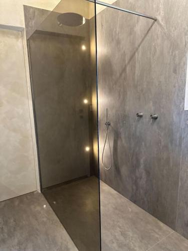 a shower with a glass door in a bathroom at Agriturismo Il Caio dimora di campagna in Bagnoregio