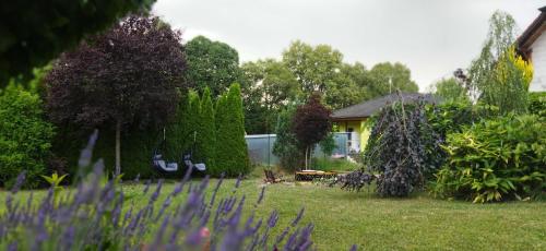 a yard with a house and a garden with purple flowers at Apartmán Mariposa 1 in Lipoltice