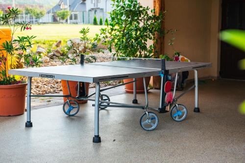 a ping pong table in a room with plants at Rai Romanesc in Sălişte