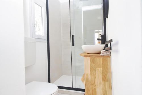 une salle de bain avec un lavabo et une douche dans l'établissement Le cosy Magnanen - Proche gare et parking - Wifi, à Avignon