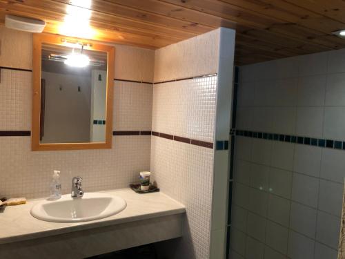 a bathroom with a sink and a mirror and a shower at T2 Jausiers in Jausiers