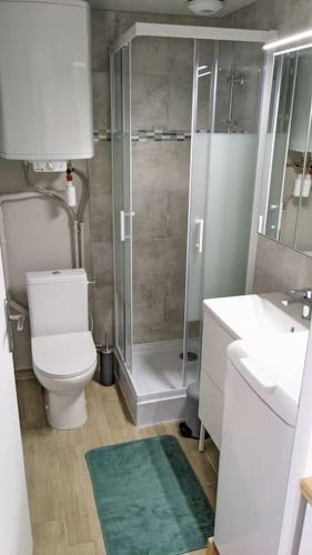 une salle de bain avec une douche, des toilettes et un lavabo dans l'établissement Agréable studio dans résidence calme sous les pins, à Lacanau