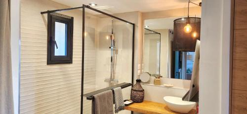 une salle de bain avec toilettes, lavabo et miroir dans l'établissement Bel appartement saint raphael, à Saint-Raphaël