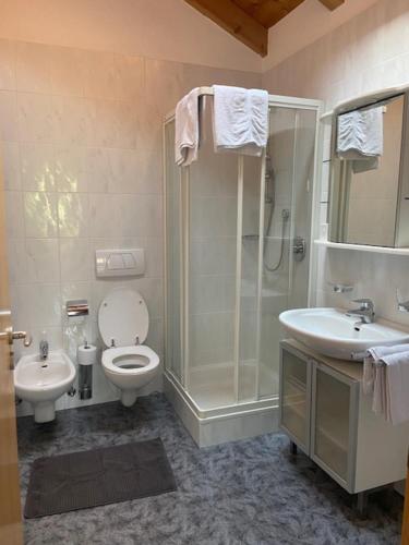 une salle de bains avec douche, toilettes et lavabo dans l'établissement Kienasthof, à Bressanone