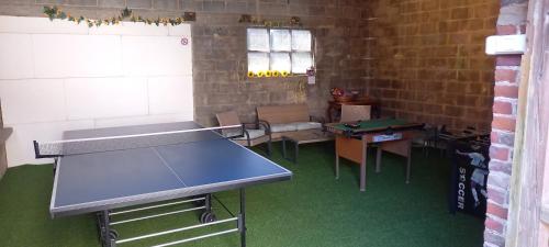 a ping pong table in a room with a ping pong ball at Natuurschoon Vakantiewoning Moorsel in Moorsel
