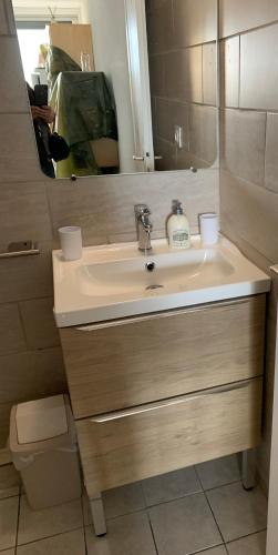 une salle de bain avec un lavabo et un miroir dans l'établissement Appartement T2 bord de mer, à Saint-Cyprien