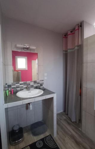 une salle de bain avec un lavabo et un miroir dans l'établissement Gîte entre lac, rivière et mer, à Le Pouget