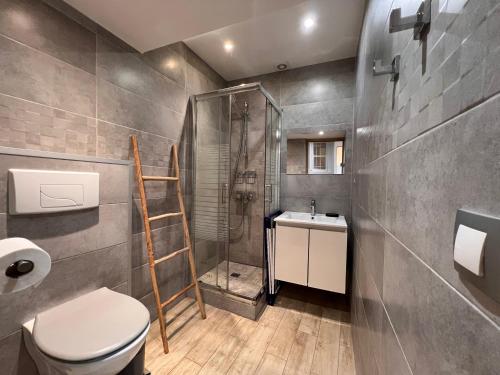une salle de bain avec une douche, des toilettes et un lavabo dans l'établissement B032 Grand studio au marche Forville, à Cannes