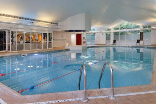 a large indoor swimming pool with a large swimming pool at Hilton Leicester Hotel in Leicester
