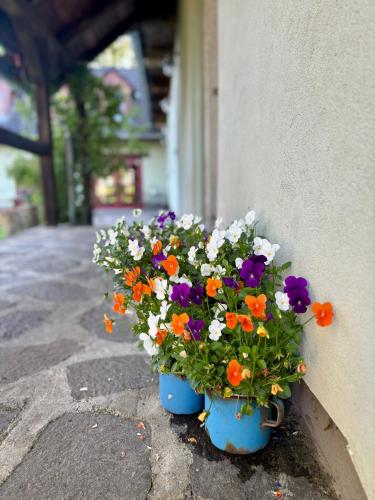 a blue pot of flowers sitting next to a building at Apartmány Penzion Kateřina in Nadějkov