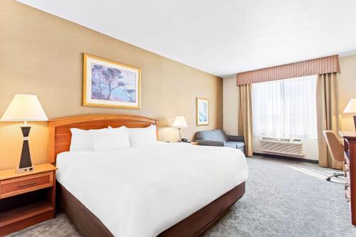 a hotel room with a large bed and a window at Comfort Inn & Suites I-25 near Spaceport America in Truth or Consequences