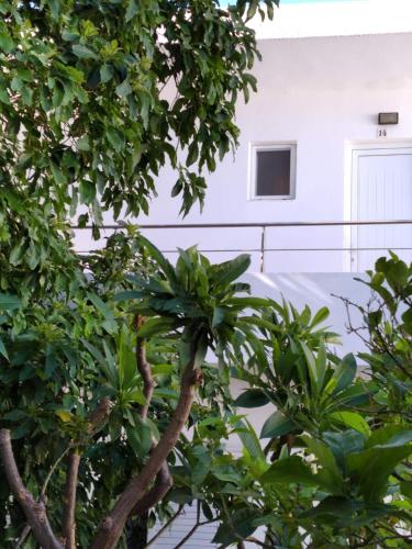 Κήπος έξω από το Maria Studios and Apartments