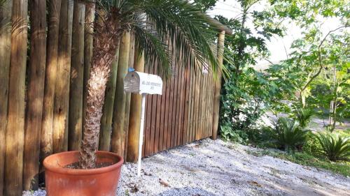 a palm tree in a pot next to a fence at Casa Paúba 80m do Mar in Maresias