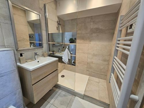 une salle de bain avec un lavabo et une douche dans l'établissement Charmant 2 pièces au cœur du Vieil Antibes, à Antibes