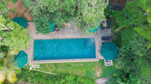 an overhead view of a swimming pool in a garden at Villa Hillcrest in Weligama