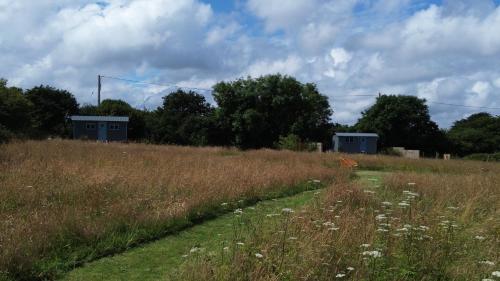 a field of tall grass with two blue structures at St. Kew Shepherd Huts in Wadebridge