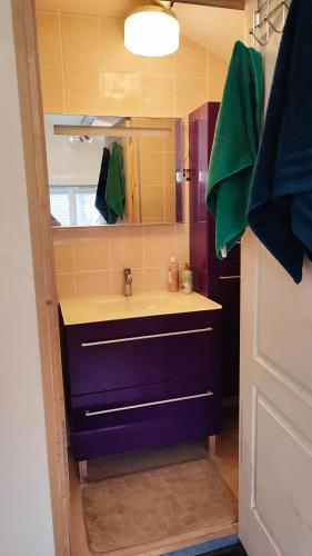 une salle de bain avec un lavabo et un miroir dans l'établissement Charmant Studio pour une ou deux personnes, à La Courneuve