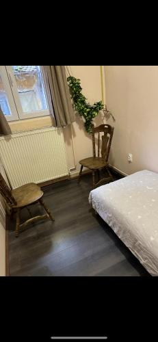Fotografie z fotogalerie ubytování jack hostel v destinaci Sremski Karlovci