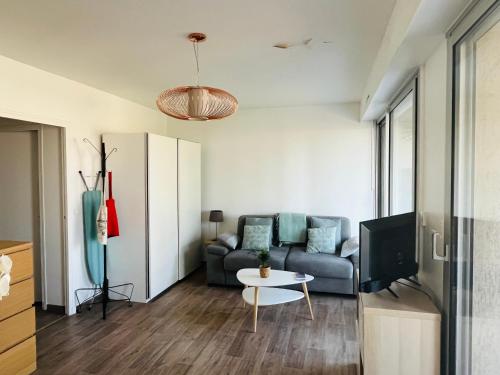 un salon avec un canapé et une télévision dans l'établissement Le petit Aixois - Parking, à Aix-en-Provence