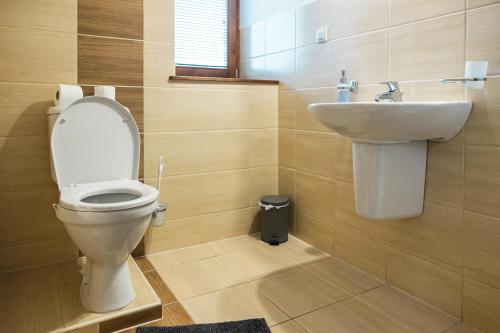 a bathroom with a toilet and a sink at Penzión Pri Mlyne in Nitra