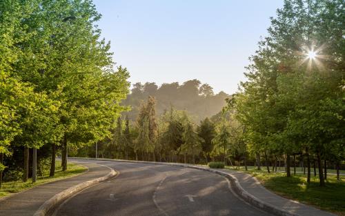 an empty road with trees on either side at Lankaran Springs Wellness Resort in Lankaran