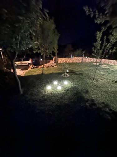a field with lights in the grass at night at Casa Nuova Tekija - Kladovo in Tekija