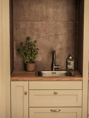 - un évier de cuisine avec une plante en pot sur un comptoir dans l'établissement Acquatignese Charme Authentique au Cœur de Bastia, à Bastia