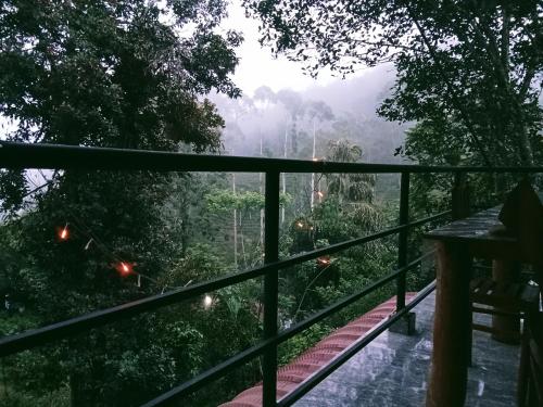 Landskap semula jadi dekat dengan lodge