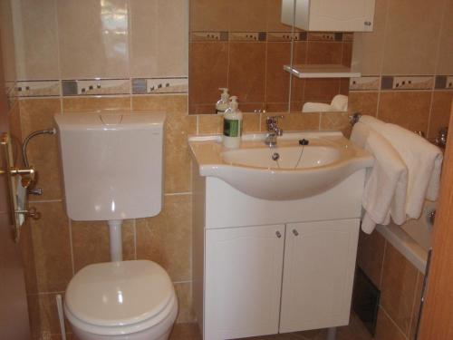 a bathroom with a toilet and a sink at Villa Rozic in Cavtat