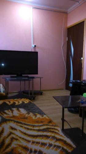 TV a/nebo společenská místnost v ubytování DoctorGoderdzi's