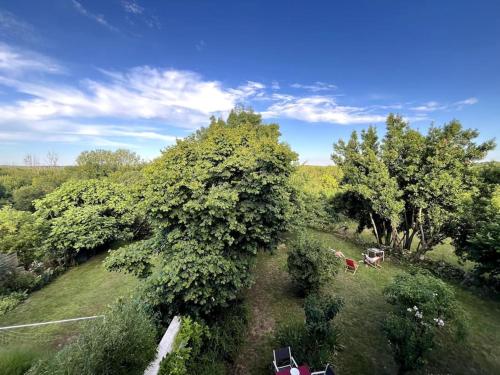 an overhead view of a field with trees and cows at Le Presbytère de la Couture in La Couture