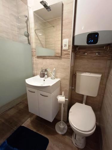a bathroom with a toilet and a sink and a mirror at Beti Blu, Kaninska vas in Bovec