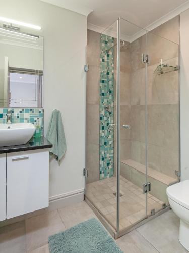 a bathroom with a shower and a toilet and a sink at Walker Bay Luxury Seafront Apartment in Hermanus