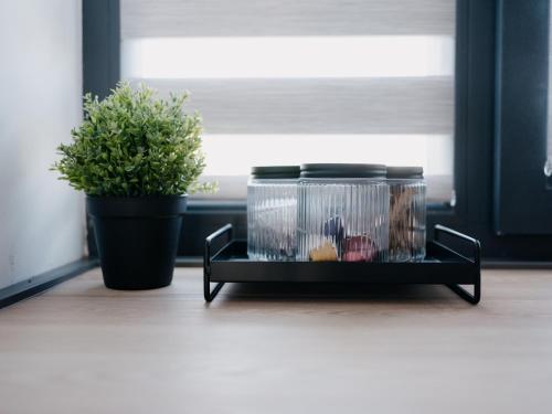 a container of food sitting on a shelf next to a plant at DoubleS Maison 1 in Cluj-Napoca