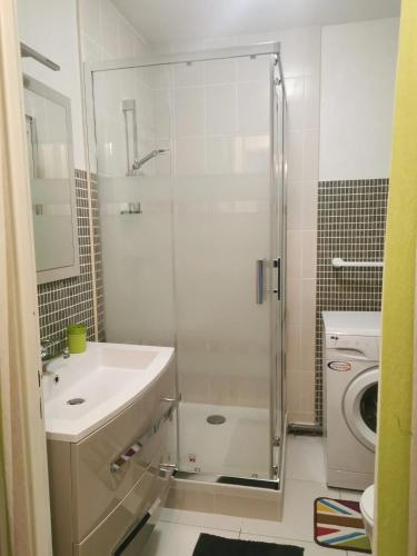 une salle de bain avec douche et lavabo et une machine à laver dans l'établissement Studio charmant à Saint-Cyprien - 25 m² avec balcon, à Saint-Cyprien