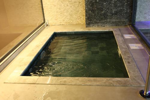 a small pool of water in a shower in a room at Cip Hotel & Spa - İstanbul Bakırköy City Center in Istanbul