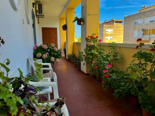 Apartmani Populare Zadar