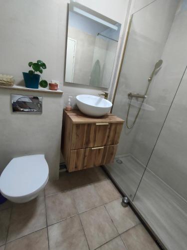une salle de bain avec toilettes, lavabo et douche dans l'établissement Hendaya vistas increíbles, à Hendaye