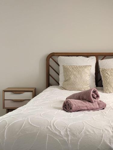 une serviette rose se couche sur un lit dans l'établissement Berbisey 3, à Dijon