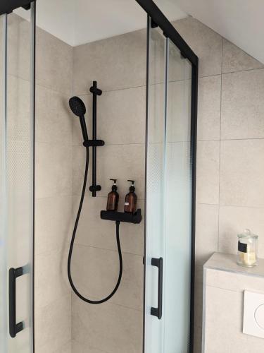 une douche avec pommeau de douche dans une salle de bain dans l'établissement Berbisey 3, à Dijon