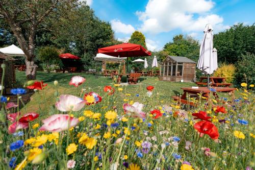 a field of flowers with a table and an umbrella at the Cartwheel Inn in Whitsbury