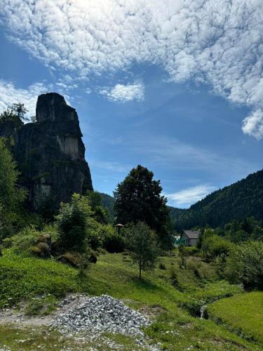 a large rock in a field with a mountain at Pobytový domček Studničná in Komjatná