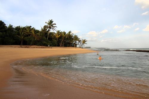 a beach with palm trees and a person in the water at Shiva's Beach Cabanas in Tangalle