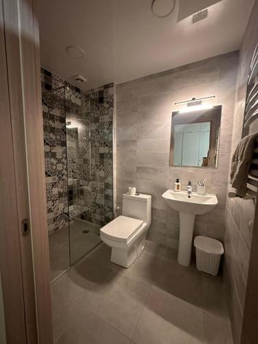 a bathroom with a toilet and a sink and a shower at Bakuriani inn Comfort Apartment in Bakuriani