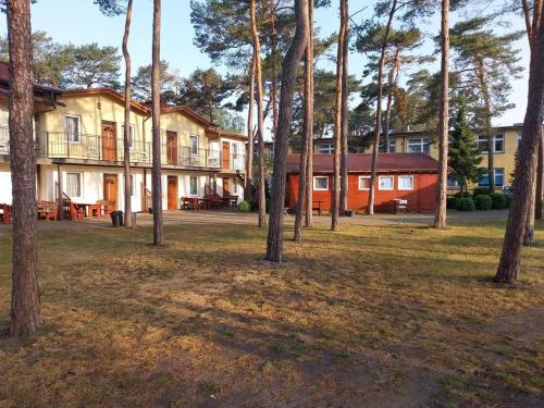 a group of houses in a park with trees at W Sosnach E in Dziwnówek