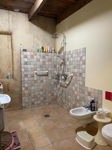 une salle de bain avec une douche, des toilettes et un lavabo dans l'établissement L'Adventice, à Riec-sur-Bélon