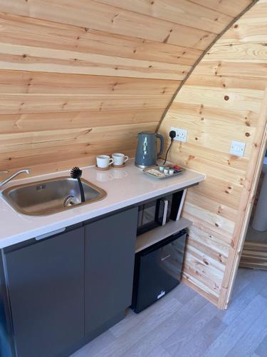 a kitchen with a sink and a counter in a room at Fernhill Valley Farm in Blaencwm